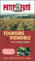 vignoble en Languedoc