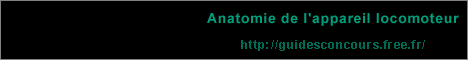 anatomie - anatomie de l'appareil locomoteur, les os, les articulations et les muscles - Membre suprieur - Membre infrieur - Tronc et Tte